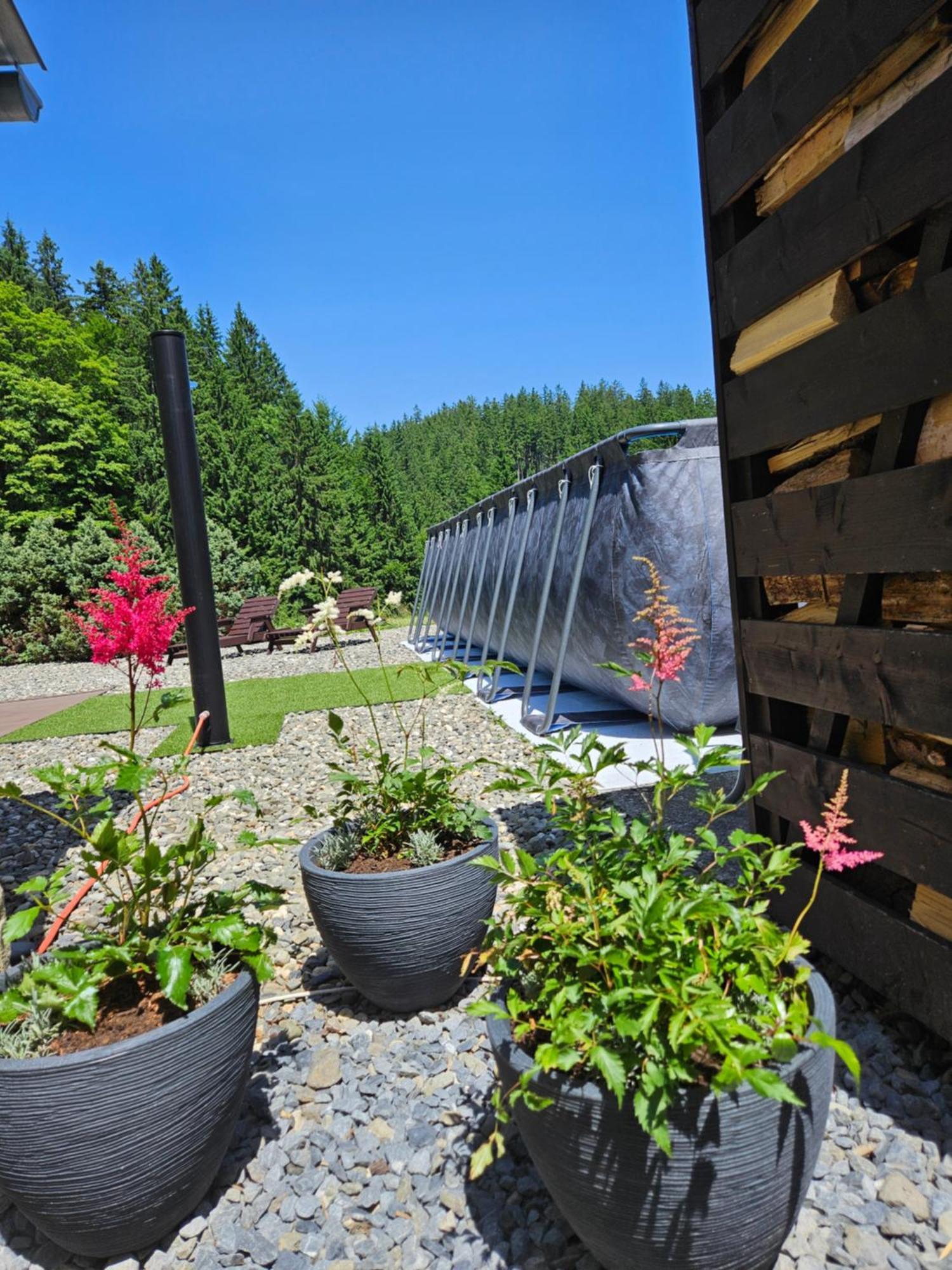 Hotel Park Grun Staré Hamry